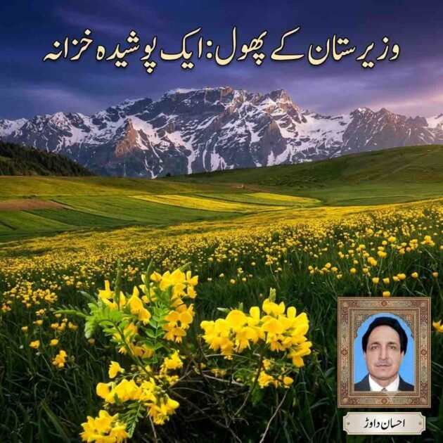 A scenic landscape of a green meadow in Waziristan filled with bright yellow wild flowers and snow-capped mountains in the background. Urdu title text is written at the top, and a framed portrait of author Ehsan Dawar is featured in the bottom right corner.