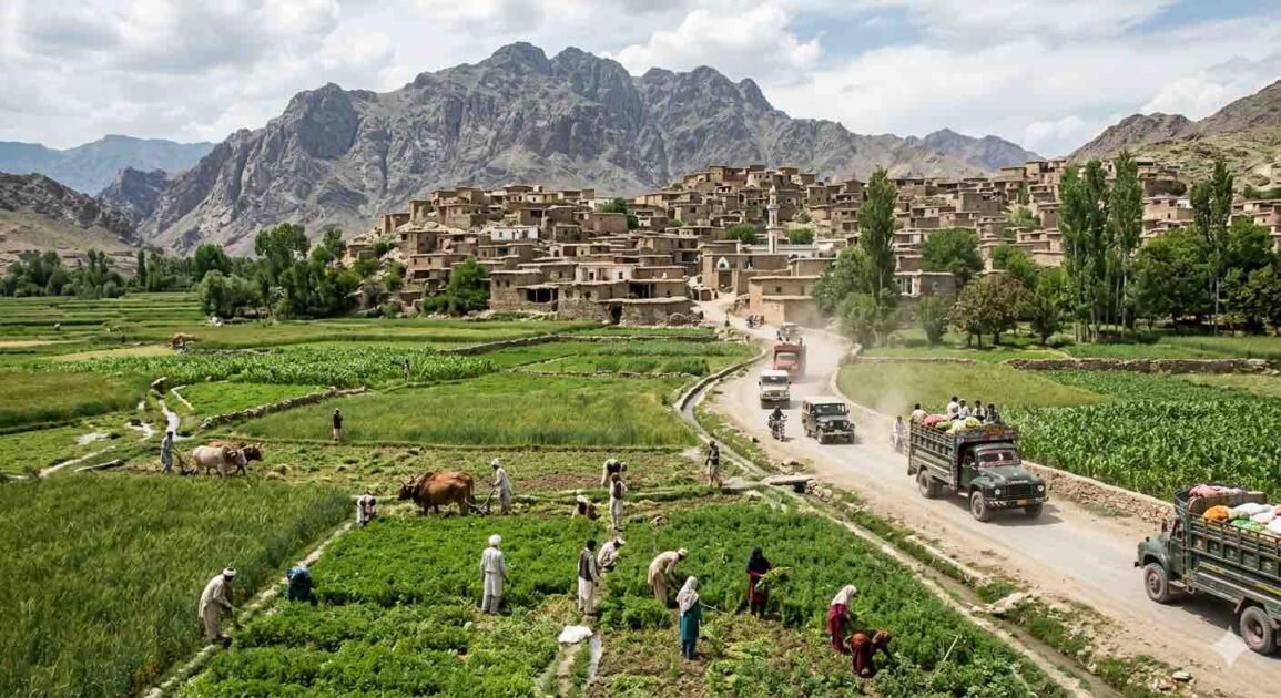مناتو کے متاثرین تصدیق کے باوجود معاوضے کے طلبگار، پی ڈی ایم اے کا مسائل حل کرنے کا دعویٰ ضلع کرم مناتو کے متاثرین تصدیق کا عمل مکمل ہونے کے باوجود معاوضے سے تاحال محروم ہیں جس کے باعث متاثرین کو مشکلات کا سامنا ہے ضلع کرم کے علاقے مناتو میں عمائیدین کا مشترکہ جرگہ منعقد ہوا جس علماء اور عمائیدین نے شرکت کی اس موقع پر اپنے خطاب میں ملک کیبت خان اور دیگر عمائیدین نے کہا کہ مناتو اور اس کے گردونواح کے دیہات میں لوگ انتہائی تشویشناک صورتحال سے دوچار ہیں جہاں سینکڑوں عارضی طور پر بے گھر ہونے والے افراد (TDPs) تمام تر سرکاری تصدیقی طریقہ کار مکمل ہونے کے باوجود مالی معاوضے سے محروم ہیں اگرچہ دفتری کارروائی کے تمام مراحل مکمل ہو چکے ہیں اور ڈیٹا بھی فائنل کیا جا چکا ہے، لیکن زمین پر موجود حقائق بڑھتی ہوئی مایوسی اور ٹوٹے ہوئے وعدوں کی عکاسی کر رہے ہیں۔ عمائیدین نے متاثرہ خاندان لندوکی، لیل گڈا، خومرے، کامران، ناری روغ، ووٹ، ورستہ میلہ، پیر کوٹ، ظریف خان کلے اور گواکے جیسے دیہاتوں سے تعلق رکھتے ہیں جنہیں علاقے کی سیکیورٹی صورتحال کی وجہ سے اپنے گھروں اور آبائی زمینوں کو چھوڑنے پر مجبور ہونا پڑا تھا۔ نقل مکانی کے کئی ماہ گزرنے کے باوجود یہ خاندان نہ صرف اپنی املاک سے دور ہیں بلکہ ریاست کی جانب سے اس مالی امداد سے بھی محروم ہیں جو ان کی زندگیوں کی دوبارہ بحالی کے لیے وعدے کئے گئےتھے علاقے کے سماجی راہنما محبت خان کا کہنا ہے کہ متاثرہ خاندانوں کی مایوسی کی بنیادی وجہ معاوضہ ملنے میں تاخیر ہے، کیونکہ حکام نے کئی ماہ قبل تمام اہل افراد کی بائیومیٹرک تصدیق کا عمل مکمل کر لیا تھا۔ اس عمل کا مقصد شفافیت کو یقینی بنانا اور بدعنوانی کو روکنا تھا جس سے بے گھر آبادی میں یہ امید پیدا ہوئی تھی کہ اب جلد ہی امدادی فنڈز ان تک پہنچ جائیں گے۔ تاہم، ان توقعات کا جواب خاموشی سے دیا گیا ہے محبت خان کا کہنا ہے کہ تمام تر سرکاری شرائط اور ضروری ضابطے مکمل کرنے کے باوجود تاحال کوئی مالی امداد فراہم نہیں کی گئی۔ بائیومیٹرک تصدیق کی تکمیل اور امداد کی اصل فراہمی کے درمیان اس طویل وقفے نے بہت سے سوالات کو جنم دیا ہے کہ آخر کارکردگی کے لیے بنائے گئے اس نظام میں اتنی طویل تعطل کی وجہ کیا ہے۔ یہ انتظامی رکاوٹ محض کاغذی کارروائی کا معاملہ نہیں ہے بلکہ یہ ایک گہرے سماجی و اقتصادی بحران کا سبب بن رہی ہے جو متاثرہ خاندانوں کو تباہی کے دہانے پر دھکیل رہا ہے۔ معاوضے میں طویل تاخیر نے بہت سے لوگوں کو شدید مالی مشکلات میں مبتلا کر دیا ہے کیونکہ نقل مکانی کے دوران وہ اپنے اثاثوں اور آمدنی کے ذرائع دونوں سے محروم ہو چکے ہیں۔ مماتو سے تعلق رکھنے والے ڈرائیور رحمان الللہ کا کہنا ہے کہ موجودہ حالات سے دیہاڑی دار طبقہ بری طرح متاثر ہوا ہے جن کی آمدنی کے تمام راستے بند ہو چکے ہیں اور وہ اب اپنے رشتہ داروں یا مقامی کمیونٹی کی امداد پر تکیہ کرنے پر مجبور ہیں۔ معاشی اثرات کے علاوہ اس صورتحال نے متاثرہ آبادی میں شدید نفسیاتی تناؤ بھی پیدا کر دیا ہے جہاں حکام کی جانب سے عدم توجہی اور خاموشی نے اس ابتدائی اعتماد کو ٹھیس پہنچائی ہے جو امدادی نظام پر کیا گیا تھا۔ ایک بے گھر رہائشی عبداللہ نے بحران کی سنگینی کو واضح کرتے ہوئے بتایا کہ اب دو وقت کی روٹی کا بندوبست کرنا بھی ایک بڑا چیلنج بن چکا ہے جس کی وجہ سے بہت سے والدین اپنے بچوں کو بنیادی ضروریات یا صحت کی سہولیات فراہم کرنے سے قاصر ہیں۔ محرومی کی اس سطح نے ضلعی انتظامیہ سے اجتماعی طور پر یہ مطالبہ کرنے پر مجبور کر دیا ہے کہ معاوضہ فنڈز فوری طور پر جاری کیے جائیں اور اس تاخیر کی کوئی واضح وجہ بتائی جائے۔ اب کمیونٹی کے لیے بروقت امداد محض ایک انتظامی طریقہ کار نہیں بلکہ بقا کا مسئلہ بن چکی ہے تاکہ اس نظام پر ان کا اعتماد بحال ہو سکے جو فی الحال ان کی حالتِ زار سے لاتعلق نظر آتا ہے۔ انتظامیہ کی مسلسل خاموشی اور متعلقہ محکموں کی جانب سے واضح جواب نہ ملنے سے تنگ آکر مناتُو اور گردونواح کے متاثرہ خاندانوں نے مستقبل کے حوالے سے سخت انتباہ جاری کر دیا ہے۔ انہوں نے واضح کیا ہے کہ اگر آنے والے چند دنوں میں ان کے مطالبات پورے نہ ہوئے تو وہ بڑے پیمانے پر احتجاج کرنے پر مجبور ہوں گے۔ متاثرین نے اس بات پر زور دیا ہے کہ علاقے میں کسی بھی ممکنہ کشیدگی کی تمام تر ذمہ داری ان حکام پر عائد ہوگی جو تصدیق شدہ ڈیٹا موجود ہونے کے باوجود کارروائی کرنے میں ناکام رہے ہیں۔ بحران کی بڑھتی ہوئی شدت اس بات کی متقاضی ہے کہ فوری انتظامی مداخلت کی جائے تاکہ مزید مشکلات کو روکا جا سکے اور یہ یقینی بنایا جا سکے کہ کرم کی ان کمزور برادریوں کو ان کی مشکلات میں تنہا نہ چھوڑا جائے۔ دوسری جانب پی ڈی ایم اے ضلع کرم کے کوارڈینیٹر شیراز باچا کا کہنا ہے کہ متاثرین کی بروقت اور ہر ممکن تعاون کے لئے ضلعی انتظامیہ اور فورسز کے ساتھ مل کر وہ ہرممکن اقدامات اٹھارہے ہیں جس کے باعث متاثرین کے زیادہ تر مسائل حل کئے گئے ہیں اور متاثرین کی اپنے گھروں کو واپسی سمیت ان کے تمام حل طلب مسائل کے حل کے لئے اقدامات جاری ہیں