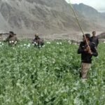 Security forces and police vehicles deployed in Chilas, Gilgit-Baltistan, following an armed attack on a police team during an opium eradication operation, branded by The Khyber Times.