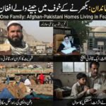 English: Collage featuring Afghan-Pakistani bi-national families, Peshawar High Court, NADRA identity cards, and displaced refugee camps.