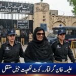 Image of PTI leader Alima Khan being transferred to Kot Lakhpat Jail under police custody.