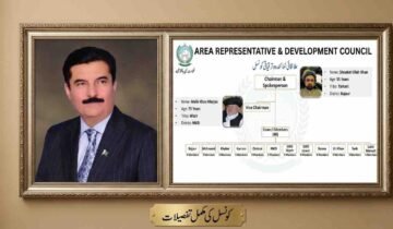 A combined photograph within a decorative wooden frame. The left panel is a formal portrait of a man in a navy blue suit with a Pakistani flag pin. The right panel is an organizational flowchart for the 'Area Representative & Development Council' for Khyber Pakhtunkhwa (KP). The chart shows Shoukat Ullah Khan as Chairman and Malik Khan Marjan as Vice Chairman, with a list of lower-level council divisions and member numbers. The bottom plaque has Urdu text 'کونسل کی مکمل تفصیلات'.