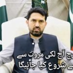 A photograph of Khyber Pakhtunkhwa Chief Minister Sohail Afridi in a formal setting with Pakistan and KP flags, now featuring an Urdu text overlay.